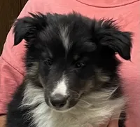 processed/bdb99fb6-fa5e-4921-bfeb-d9a2f5aa4bab/listing/2beef53e-ab94-4524-8bf7-53972146ac16/b01d36c8-422b-490b-9cf7-2764b6d21a8e