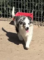 processed/bdb99fb6-fa5e-4921-bfeb-d9a2f5aa4bab/listing/349dacbf-ff13-449b-9b10-f3056e8cbbc4/0328cfca-7c10-4272-ac1b-dbd5a31b0c45