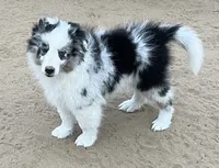 processed/bdb99fb6-fa5e-4921-bfeb-d9a2f5aa4bab/listing/349dacbf-ff13-449b-9b10-f3056e8cbbc4/9517e3e5-566f-4bba-afb0-b4c152e12259