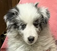 processed/bdb99fb6-fa5e-4921-bfeb-d9a2f5aa4bab/listing/349dacbf-ff13-449b-9b10-f3056e8cbbc4/9ec9fcfe-d7df-419e-b7db-75110affbff8