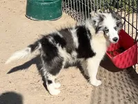 processed/bdb99fb6-fa5e-4921-bfeb-d9a2f5aa4bab/listing/349dacbf-ff13-449b-9b10-f3056e8cbbc4/ce7386c6-0cea-4849-89b3-a4aa55b8f680