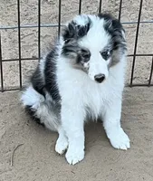 processed/bdb99fb6-fa5e-4921-bfeb-d9a2f5aa4bab/listing/349dacbf-ff13-449b-9b10-f3056e8cbbc4/ef7b5ba3-99d5-43ad-8887-8da3f13ea4ff