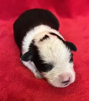 processed/bdb99fb6-fa5e-4921-bfeb-d9a2f5aa4bab/listing/8da31cf3-50c1-4e69-881c-1a4b51c0516c/13fc8761-ba1a-4443-af6c-48974e81c6d2