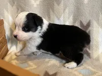 processed/bdb99fb6-fa5e-4921-bfeb-d9a2f5aa4bab/listing/8da31cf3-50c1-4e69-881c-1a4b51c0516c/4eb5739b-3c95-440f-97a2-bc43d180af6b