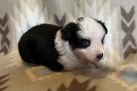 processed/bdb99fb6-fa5e-4921-bfeb-d9a2f5aa4bab/listing/8da31cf3-50c1-4e69-881c-1a4b51c0516c/d59ff459-9a99-458b-a0c4-2e682d5ee9c3