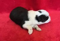 processed/bdb99fb6-fa5e-4921-bfeb-d9a2f5aa4bab/listing/8da31cf3-50c1-4e69-881c-1a4b51c0516c/e2437dd9-b9ee-4dfa-89d2-55727bc8c655