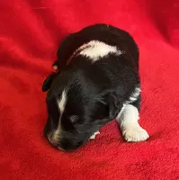 processed/bdb99fb6-fa5e-4921-bfeb-d9a2f5aa4bab/listing/9656cb2f-b94f-49b9-a62d-50a9ffeb4d3f/1206bdd4-9c43-425a-9d8a-502fb5b0b917