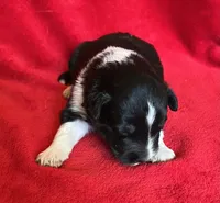 processed/bdb99fb6-fa5e-4921-bfeb-d9a2f5aa4bab/listing/9656cb2f-b94f-49b9-a62d-50a9ffeb4d3f/69b938ff-20d1-4025-81a4-6ddc85cc0b1d