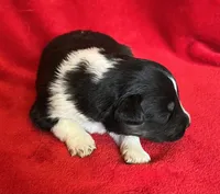 processed/bdb99fb6-fa5e-4921-bfeb-d9a2f5aa4bab/listing/9656cb2f-b94f-49b9-a62d-50a9ffeb4d3f/e5718941-24e8-452c-ab09-719f5e435d15