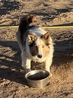 processed/bdb99fb6-fa5e-4921-bfeb-d9a2f5aa4bab/listing/a10c2f48-4321-4511-854f-8aac9ad86936/477f6f5c-99ec-437b-8c57-45cea8ae5271