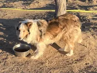 processed/bdb99fb6-fa5e-4921-bfeb-d9a2f5aa4bab/listing/a10c2f48-4321-4511-854f-8aac9ad86936/7c8e3dc1-9db0-44a1-88f7-82fa833d79e6