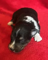 processed/bdb99fb6-fa5e-4921-bfeb-d9a2f5aa4bab/listing/d2e0106c-3971-4b24-987f-6ac1f11e176e/8d7ddfeb-ce1e-446f-bf42-15f0f1ac88e5