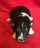 processed/bdb99fb6-fa5e-4921-bfeb-d9a2f5aa4bab/listing/d2e0106c-3971-4b24-987f-6ac1f11e176e/d9a0d551-2cdd-4541-871b-b8d950440f5b