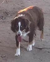 processed/bdb99fb6-fa5e-4921-bfeb-d9a2f5aa4bab/listing/d3f5b4ae-766f-4b0e-bdd0-87a9d6ce2732/17cd45f7-2949-44c1-b189-7d2b6b2b2f80