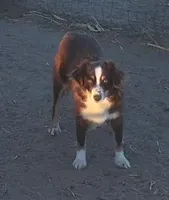 processed/bdb99fb6-fa5e-4921-bfeb-d9a2f5aa4bab/listing/d3f5b4ae-766f-4b0e-bdd0-87a9d6ce2732/43a23575-bdde-4f7f-8bb5-8c9fc0d3d2e1