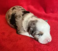 processed/bdb99fb6-fa5e-4921-bfeb-d9a2f5aa4bab/listing/dda7adeb-9ef4-45cf-a4e7-62264bff61d0/1a8a6e64-7ce1-43dd-a649-a29a0cd4b860