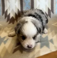 processed/bdb99fb6-fa5e-4921-bfeb-d9a2f5aa4bab/listing/dda7adeb-9ef4-45cf-a4e7-62264bff61d0/61b34d8b-ebc2-456d-b362-b1d5b9244e7a