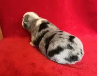 processed/bdb99fb6-fa5e-4921-bfeb-d9a2f5aa4bab/listing/dda7adeb-9ef4-45cf-a4e7-62264bff61d0/7361ae61-1d8a-46c6-9ea4-897b5cf274e9