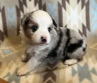 processed/bdb99fb6-fa5e-4921-bfeb-d9a2f5aa4bab/listing/dda7adeb-9ef4-45cf-a4e7-62264bff61d0/a2e8e654-26a0-43d1-8c8f-ce11660fe67f