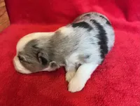 processed/bdb99fb6-fa5e-4921-bfeb-d9a2f5aa4bab/listing/dda7adeb-9ef4-45cf-a4e7-62264bff61d0/a9ea3ba9-ddfa-48d3-b694-5f2ae5a686d3