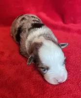 processed/bdb99fb6-fa5e-4921-bfeb-d9a2f5aa4bab/listing/dda7adeb-9ef4-45cf-a4e7-62264bff61d0/d311f8ff-6267-4a47-af33-b2e4ade050de