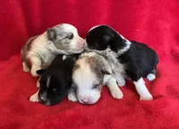 processed/bdb99fb6-fa5e-4921-bfeb-d9a2f5aa4bab/listing/dda7adeb-9ef4-45cf-a4e7-62264bff61d0/e6412df7-6c3c-4688-bdf7-9a4516e17a69