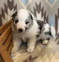 processed/bdb99fb6-fa5e-4921-bfeb-d9a2f5aa4bab/listing/de22aae9-b0ae-47c7-a2cb-a0fa3731922f/07d809f1-8605-4988-94d3-bd60bcf1efb8