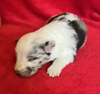 processed/bdb99fb6-fa5e-4921-bfeb-d9a2f5aa4bab/listing/de22aae9-b0ae-47c7-a2cb-a0fa3731922f/534d20f7-575d-4389-8830-e8a0abf99bed