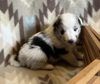 processed/bdb99fb6-fa5e-4921-bfeb-d9a2f5aa4bab/listing/de22aae9-b0ae-47c7-a2cb-a0fa3731922f/87b7b118-f3b1-4b22-8d31-ce2360e10b90