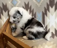 processed/bdb99fb6-fa5e-4921-bfeb-d9a2f5aa4bab/listing/de22aae9-b0ae-47c7-a2cb-a0fa3731922f/9283d6a1-186c-45d3-bd8c-1b1b7e278a6d