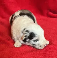 processed/bdb99fb6-fa5e-4921-bfeb-d9a2f5aa4bab/listing/de22aae9-b0ae-47c7-a2cb-a0fa3731922f/add31ed0-dad7-4172-a48b-4a273ebc904e