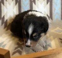 processed/bdb99fb6-fa5e-4921-bfeb-d9a2f5aa4bab/listing/f01ace4d-5877-49ce-8fe2-8934254f291a/599751c8-31c6-4ae6-b145-a59a7b4b3d4f