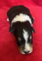 processed/bdb99fb6-fa5e-4921-bfeb-d9a2f5aa4bab/listing/f01ace4d-5877-49ce-8fe2-8934254f291a/80ea048d-e881-4719-b737-4128e5b95b03