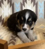 processed/bdb99fb6-fa5e-4921-bfeb-d9a2f5aa4bab/listing/f01ace4d-5877-49ce-8fe2-8934254f291a/9db268b1-94ad-45e2-9a18-8e05e834c036