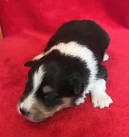 processed/bdb99fb6-fa5e-4921-bfeb-d9a2f5aa4bab/listing/f01ace4d-5877-49ce-8fe2-8934254f291a/aebb1bc8-cb8a-49b7-b415-fab2f9b949bf