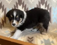 processed/bdb99fb6-fa5e-4921-bfeb-d9a2f5aa4bab/listing/f01ace4d-5877-49ce-8fe2-8934254f291a/b6d3f058-3855-438f-9aa6-be234193867d