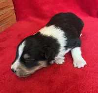 processed/bdb99fb6-fa5e-4921-bfeb-d9a2f5aa4bab/listing/f01ace4d-5877-49ce-8fe2-8934254f291a/fb37c75a-7f21-4c39-92d0-e5b6f0ab480b