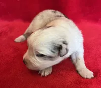 processed/bdb99fb6-fa5e-4921-bfeb-d9a2f5aa4bab/listing/f7e22fdb-da60-40de-bd0e-547cbb2ff406/54409eb5-c4f6-4d76-bd50-7611265fc683