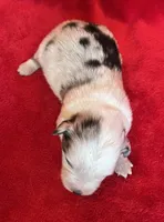 processed/bdb99fb6-fa5e-4921-bfeb-d9a2f5aa4bab/listing/f7e22fdb-da60-40de-bd0e-547cbb2ff406/6985f323-fc56-4051-82cd-e4ed4c0ff3cc