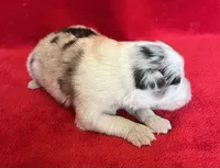 processed/bdb99fb6-fa5e-4921-bfeb-d9a2f5aa4bab/listing/f7e22fdb-da60-40de-bd0e-547cbb2ff406/6ab565ce-5cf1-4d08-a904-cace497ab739