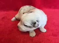 processed/bdb99fb6-fa5e-4921-bfeb-d9a2f5aa4bab/listing/f7e22fdb-da60-40de-bd0e-547cbb2ff406/bae4cd1b-d3cf-4119-b569-885b44ece1db