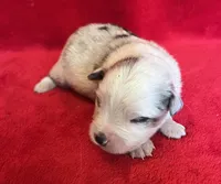 processed/bdb99fb6-fa5e-4921-bfeb-d9a2f5aa4bab/listing/f7e22fdb-da60-40de-bd0e-547cbb2ff406/f32764d6-64f9-49ae-a7d1-abbbbec41235