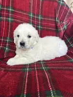 processed/bdbb4596-6e27-4b66-8917-a8a84c1d9ec2/listing/09611fb1-e00c-4a54-99d6-7dfabef5f0a1/155c4c7e-995c-4f4f-830e-ea68928760f6