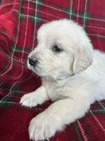 processed/bdbb4596-6e27-4b66-8917-a8a84c1d9ec2/listing/09611fb1-e00c-4a54-99d6-7dfabef5f0a1/1ecf41e5-2413-4004-80ad-7ed2acaa4b8b