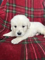 processed/bdbb4596-6e27-4b66-8917-a8a84c1d9ec2/listing/37b097c7-cbed-45e6-b933-0694bdf0e9b0/9979f54e-f4fb-4d8d-9f67-9814155d88a0