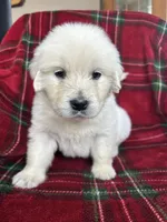 processed/bdbb4596-6e27-4b66-8917-a8a84c1d9ec2/listing/37b097c7-cbed-45e6-b933-0694bdf0e9b0/aad47104-3167-4243-85c3-ff6579f9e31f