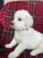 processed/bdbb4596-6e27-4b66-8917-a8a84c1d9ec2/listing/37b097c7-cbed-45e6-b933-0694bdf0e9b0/cabcd606-6511-4efd-bb97-cd7671fd51f8