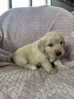 processed/bdbb4596-6e27-4b66-8917-a8a84c1d9ec2/listing/7ba91cf1-72fe-4a48-a7f3-eb492fa0f91b/1490e727-faab-415f-adef-b258adf5b021