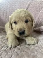 processed/bdbb4596-6e27-4b66-8917-a8a84c1d9ec2/listing/7ba91cf1-72fe-4a48-a7f3-eb492fa0f91b/5588851b-72a6-4ac5-b36d-e74ced1d5e9f