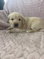 processed/bdbb4596-6e27-4b66-8917-a8a84c1d9ec2/listing/7ba91cf1-72fe-4a48-a7f3-eb492fa0f91b/57b0236a-ceaa-4009-81aa-a332fea37bcd